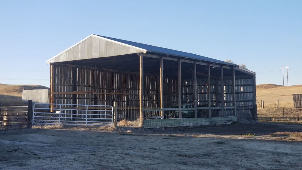 Montana Dream Property With Unlimited Options on 48+ Acres In Sidney: 12353 County Rd 348, Sidney, MT 59270